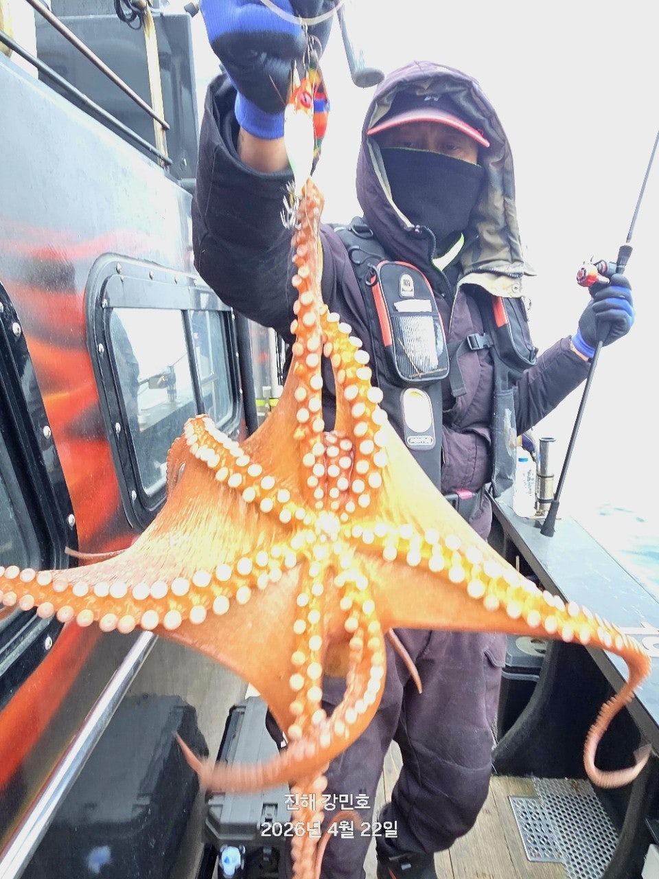 ����ڰ� �ø� �̹���