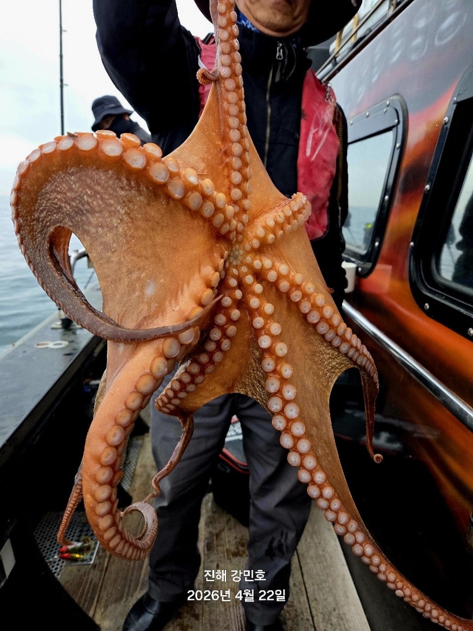 ����ڰ� �ø� �̹���