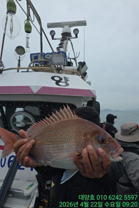 ����ڰ� �ø� �̹���