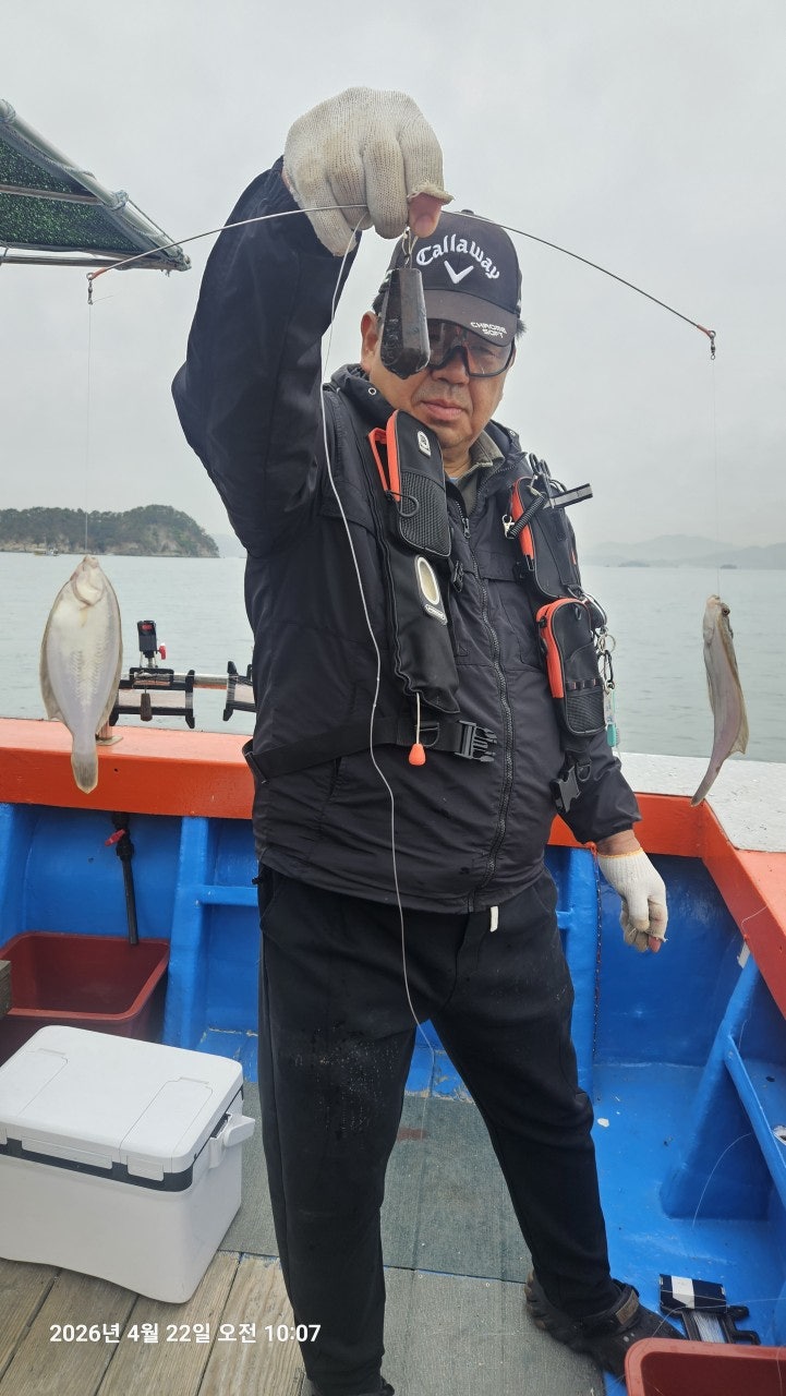 ����ڰ� �ø� �̹���