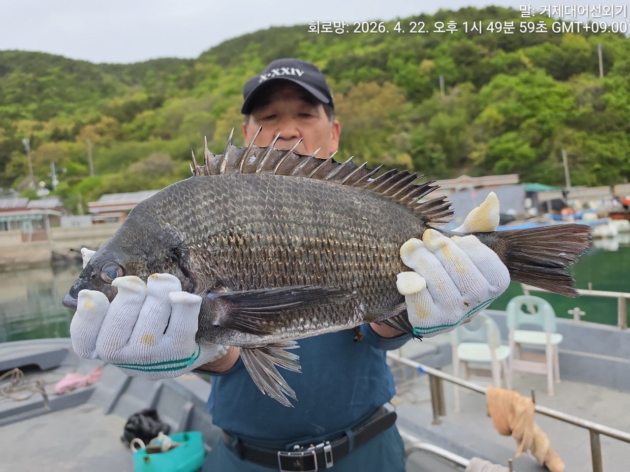 ����ڰ� �ø� �̹���