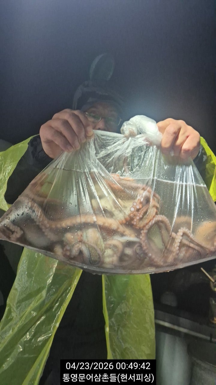 ����ڰ� �ø� �̹���