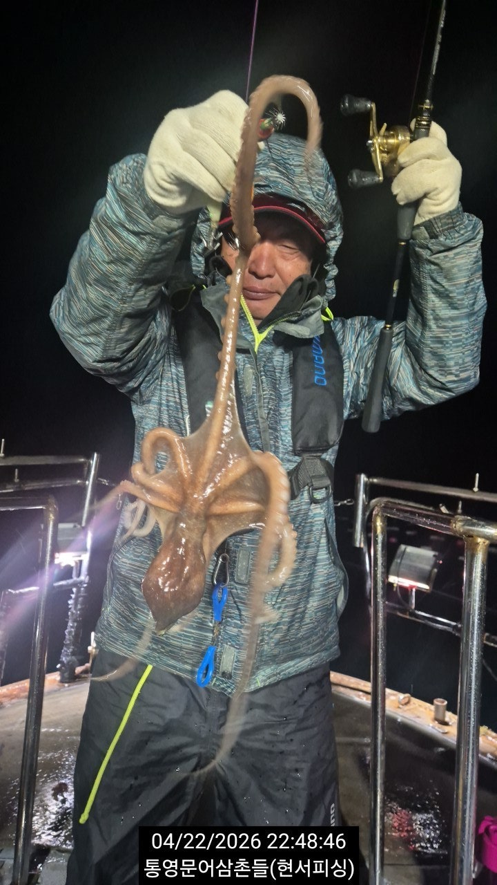 ����ڰ� �ø� �̹���