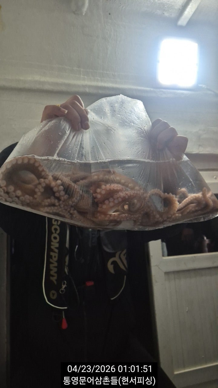 ����ڰ� �ø� �̹���