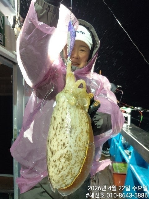 ����ڰ� �ø� �̹���