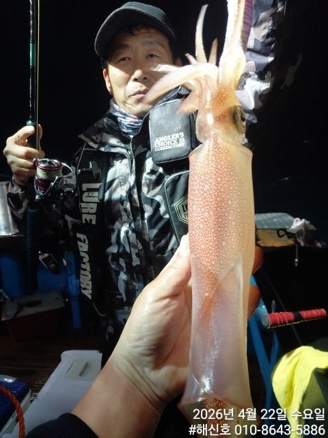 ����ڰ� �ø� �̹���