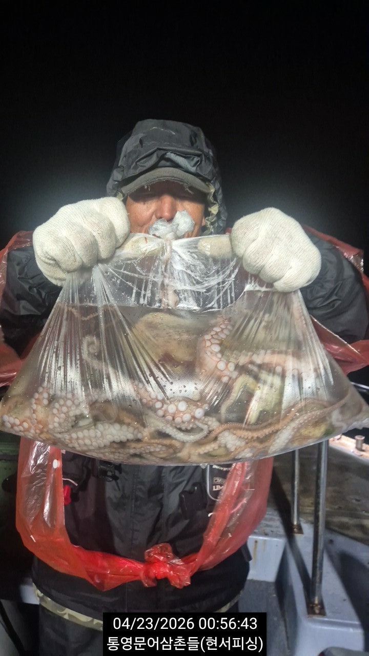 ����ڰ� �ø� �̹���