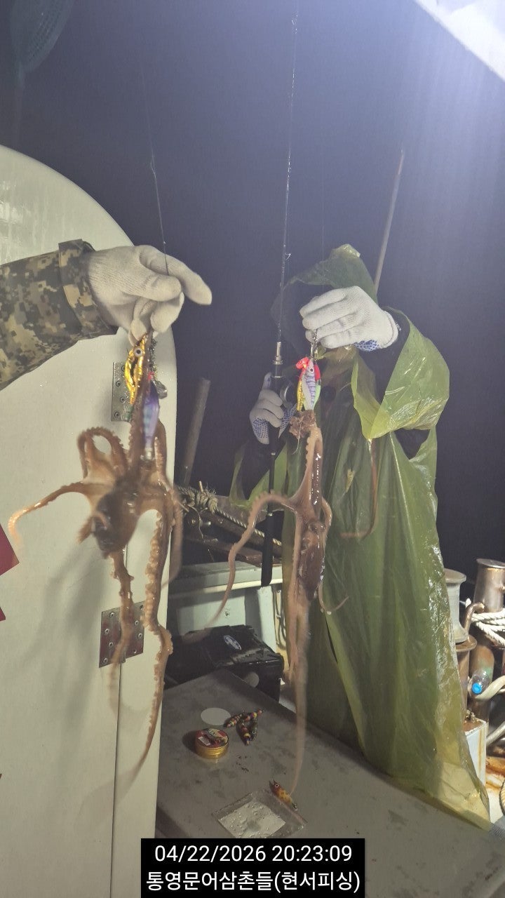 ����ڰ� �ø� �̹���