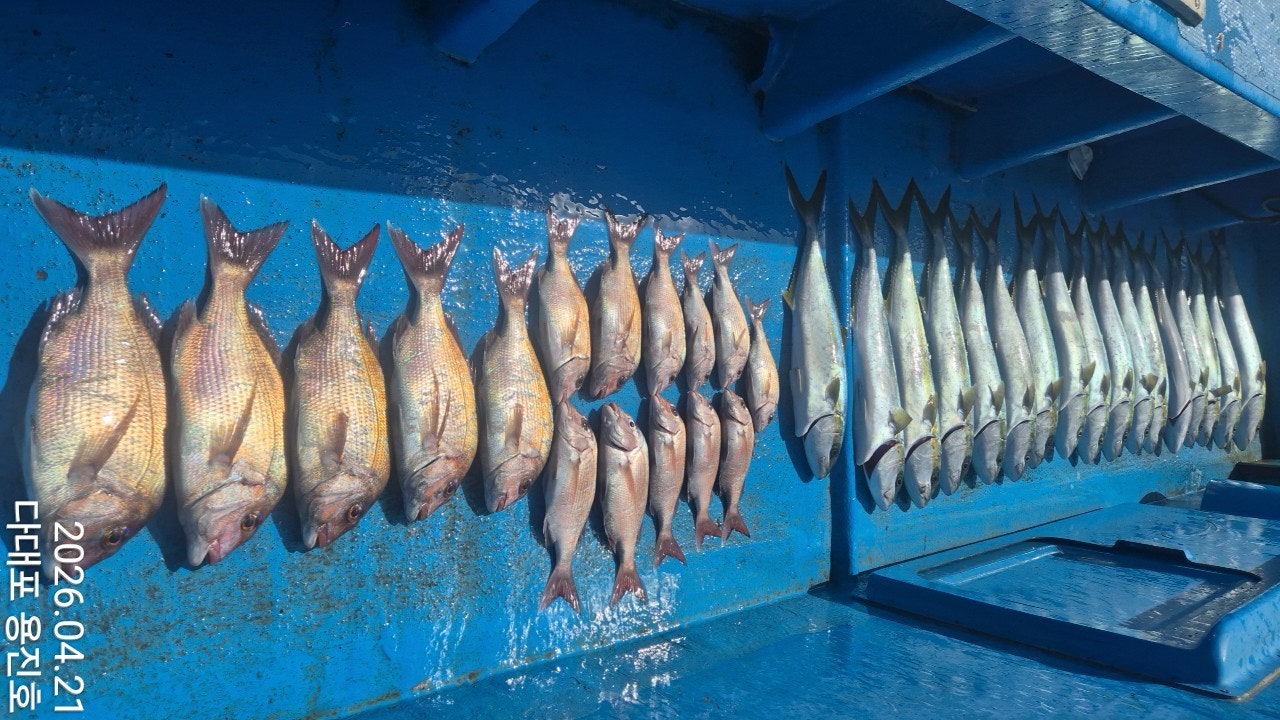 ����ڰ� �ø� �̹���