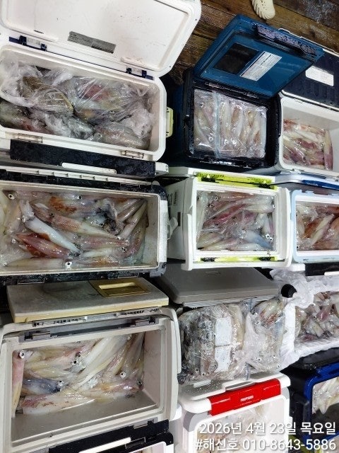 ����ڰ� �ø� �̹���