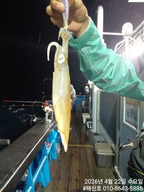 ����ڰ� �ø� �̹���