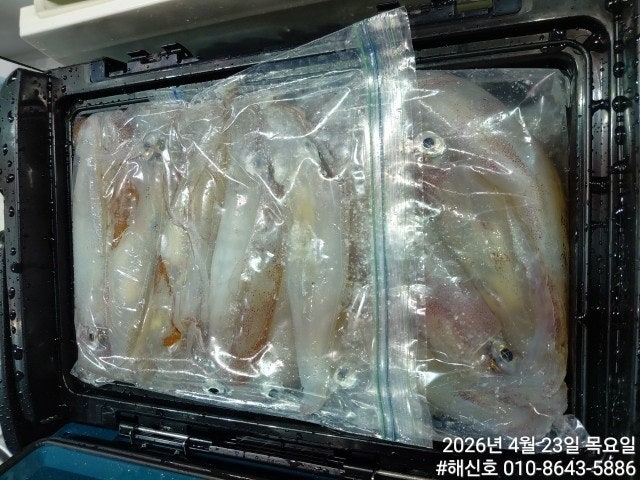 ����ڰ� �ø� �̹���