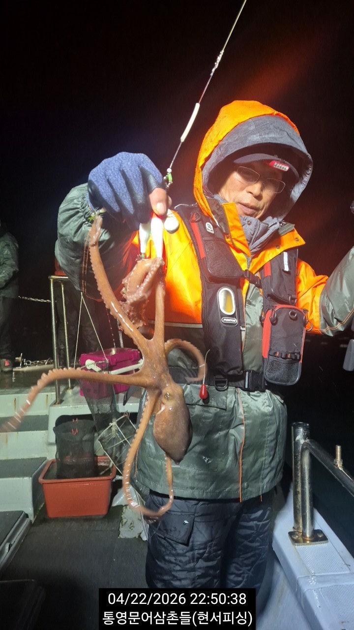 ����ڰ� �ø� �̹���