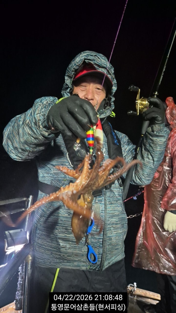 ����ڰ� �ø� �̹���