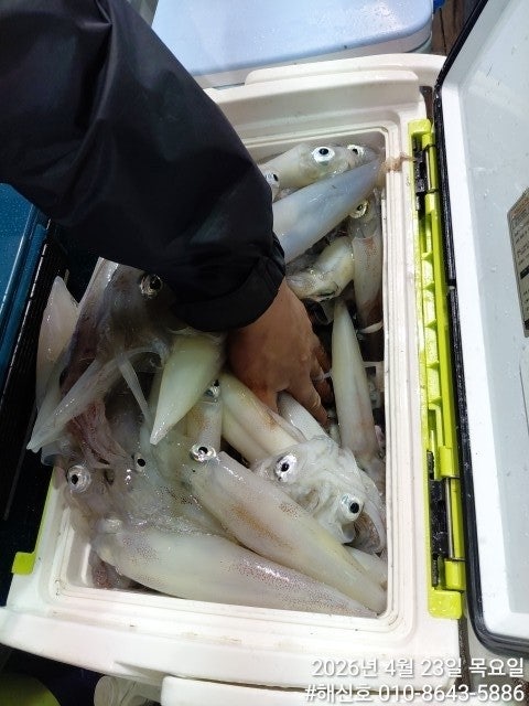 ����ڰ� �ø� �̹���