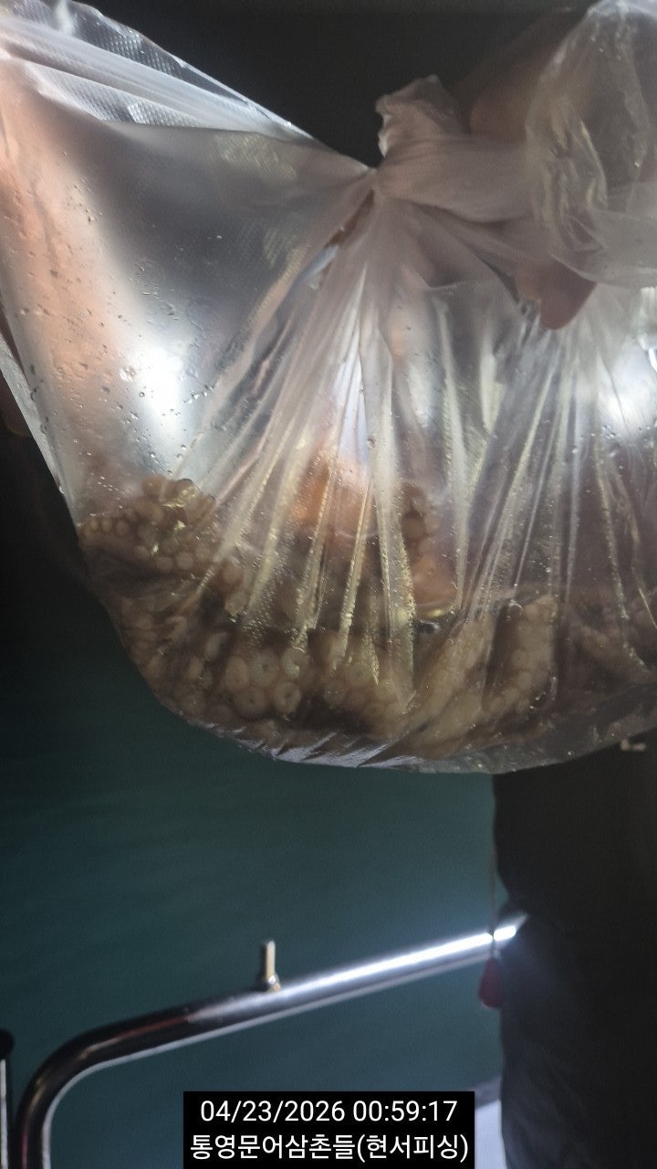 ����ڰ� �ø� �̹���