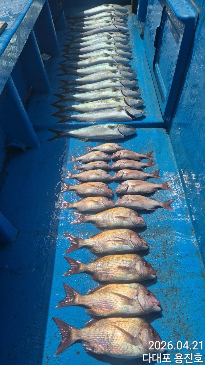 ����ڰ� �ø� �̹���