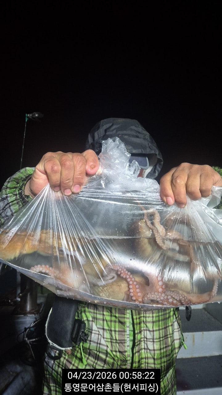 ����ڰ� �ø� �̹���