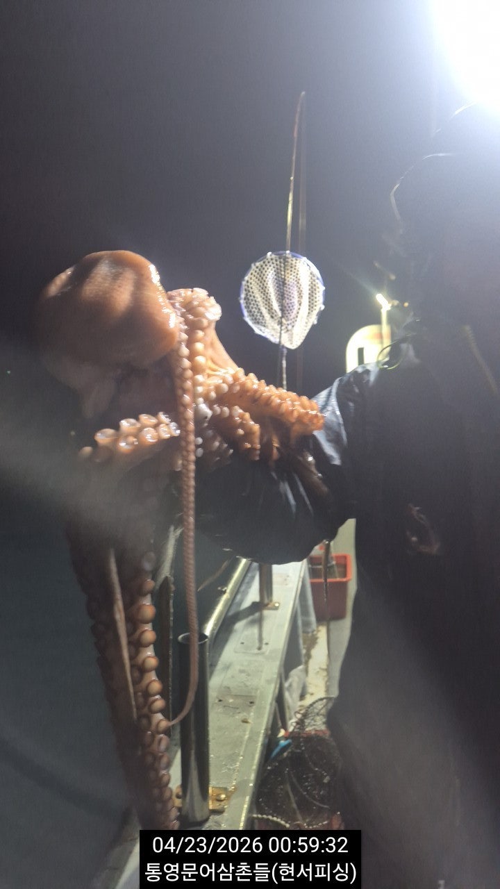 ����ڰ� �ø� �̹���