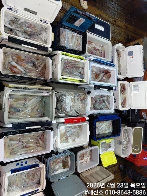 ����ڰ� �ø� �̹���