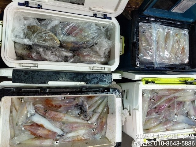 ����ڰ� �ø� �̹���