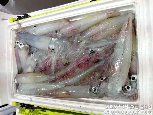 ����ڰ� �ø� �̹���