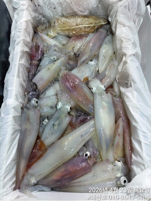 ����ڰ� �ø� �̹���