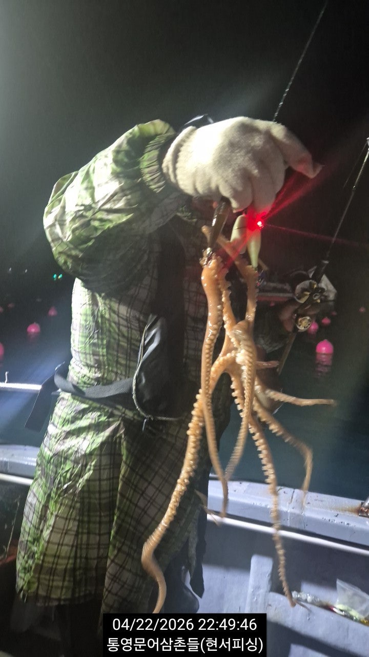 ����ڰ� �ø� �̹���