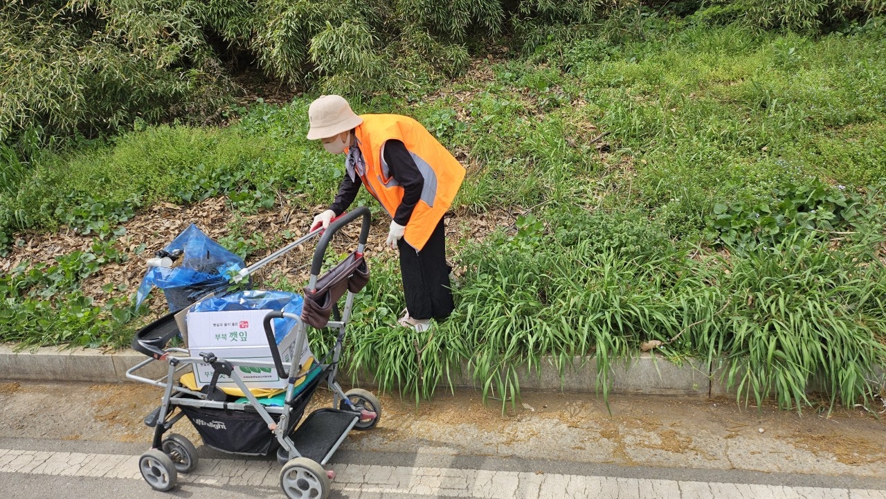 사용자가 올린 이미지