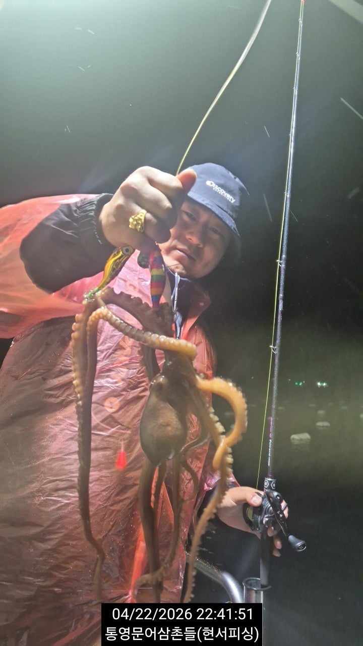 ����ڰ� �ø� �̹���