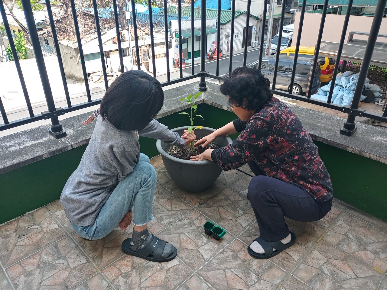 사용자가 올린 이미지