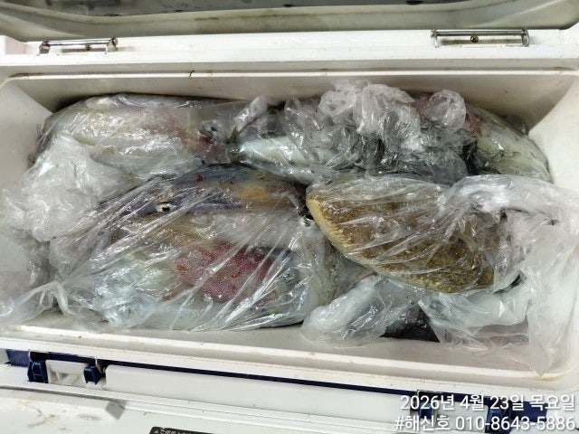 ����ڰ� �ø� �̹���