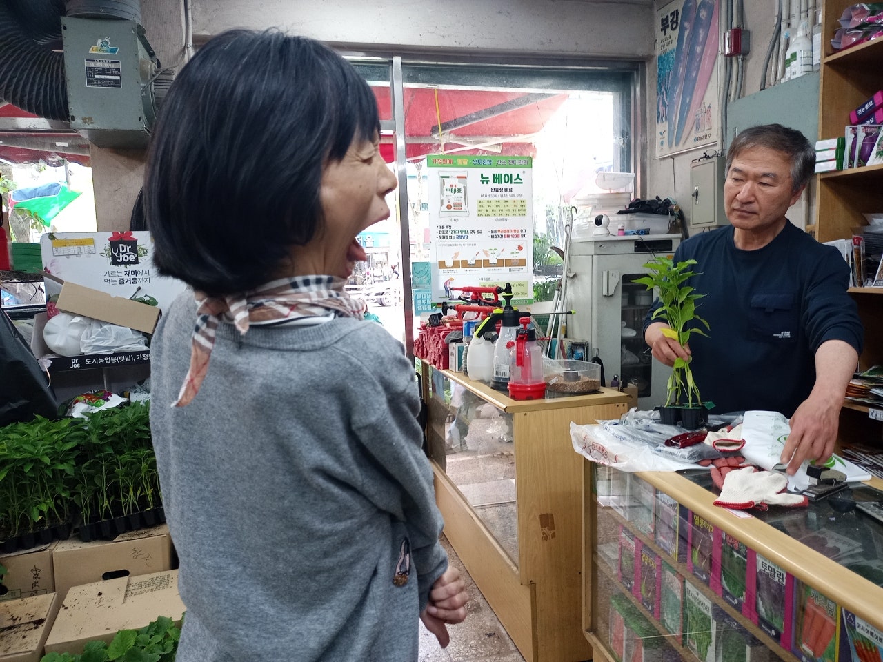 사용자가 올린 이미지