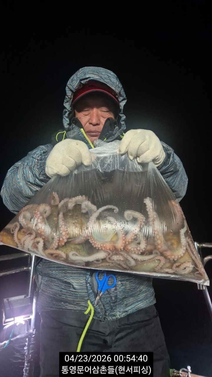 ����ڰ� �ø� �̹���