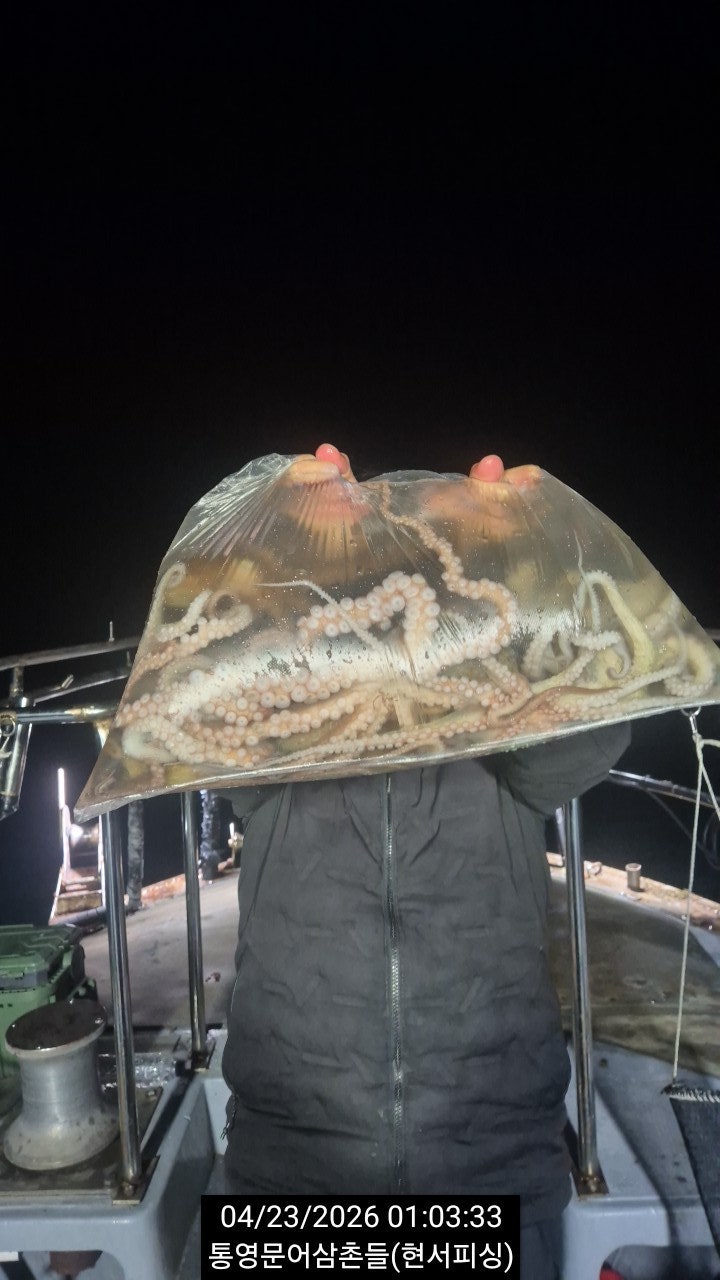 ����ڰ� �ø� �̹���