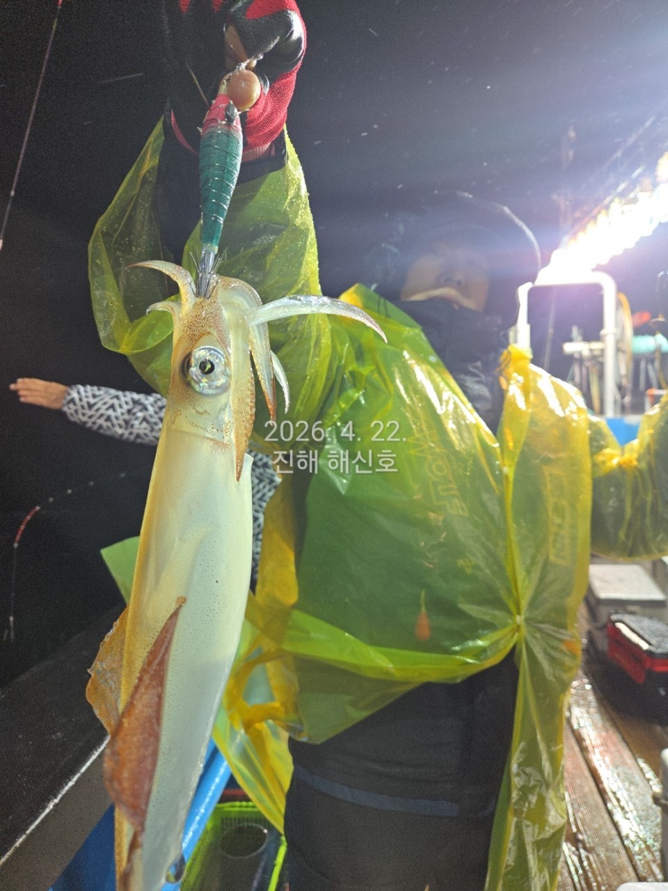 ����ڰ� �ø� �̹���