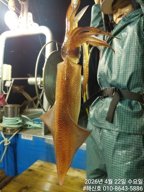 ����ڰ� �ø� �̹���