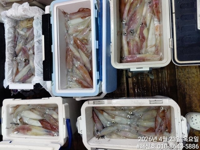 ����ڰ� �ø� �̹���