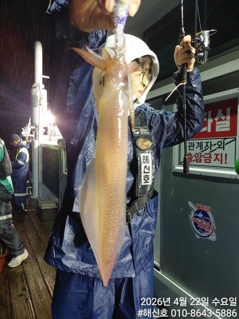 ����ڰ� �ø� �̹���