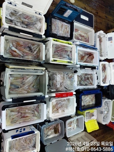 ����ڰ� �ø� �̹���