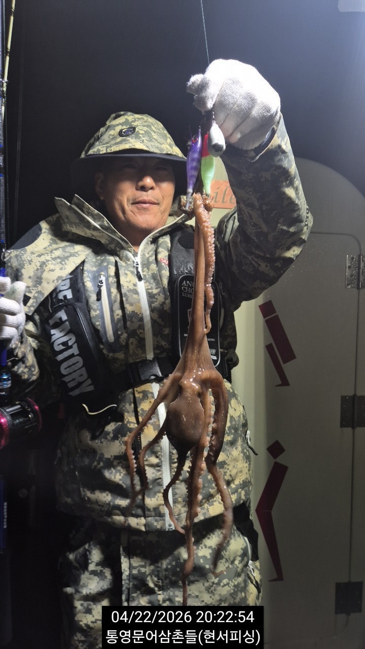 ����ڰ� �ø� �̹���