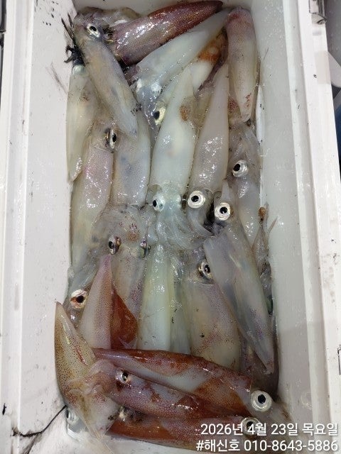 ����ڰ� �ø� �̹���