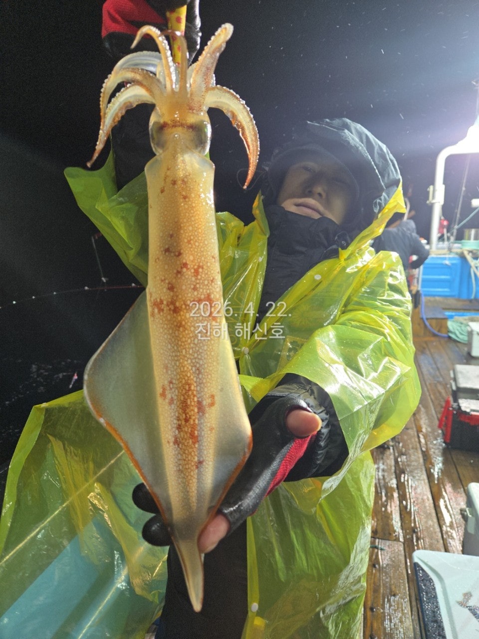 ����ڰ� �ø� �̹���