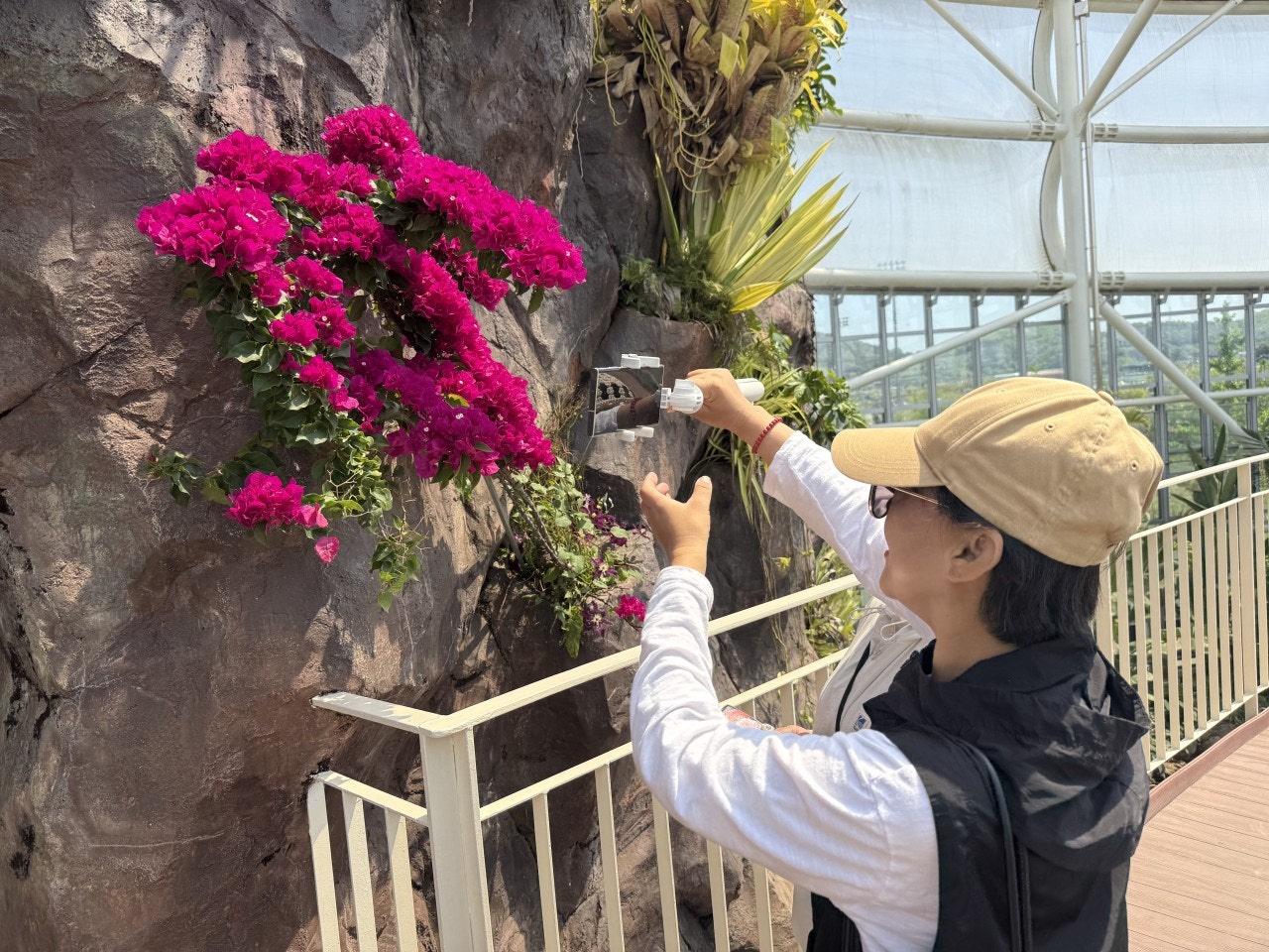 사용자가 올린 이미지