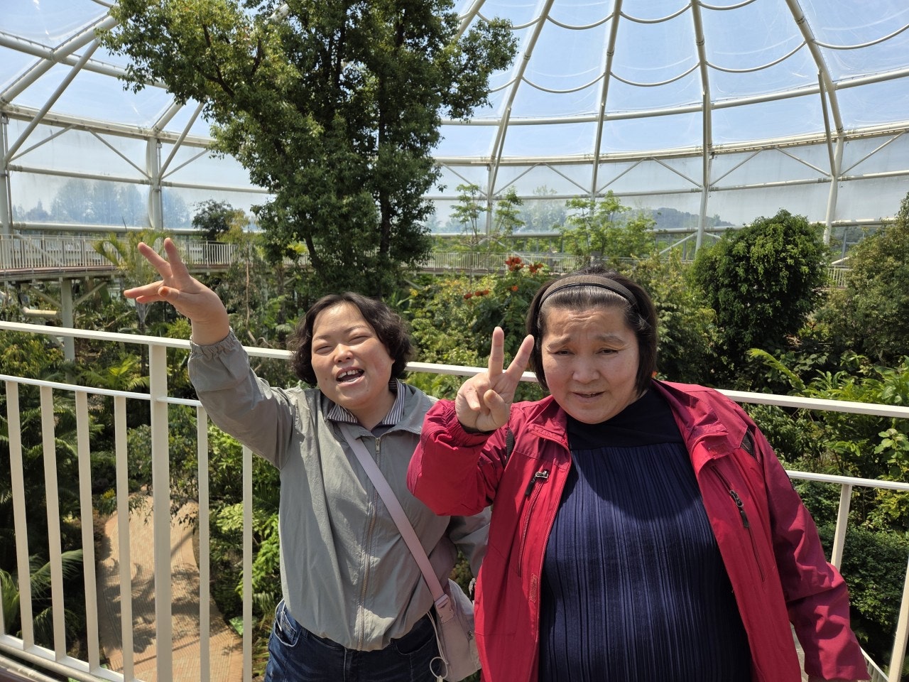 사용자가 올린 이미지