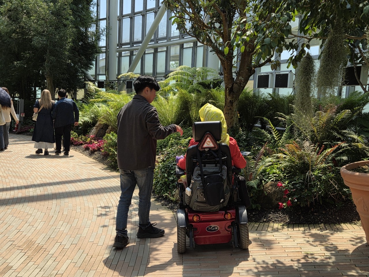 사용자가 올린 이미지