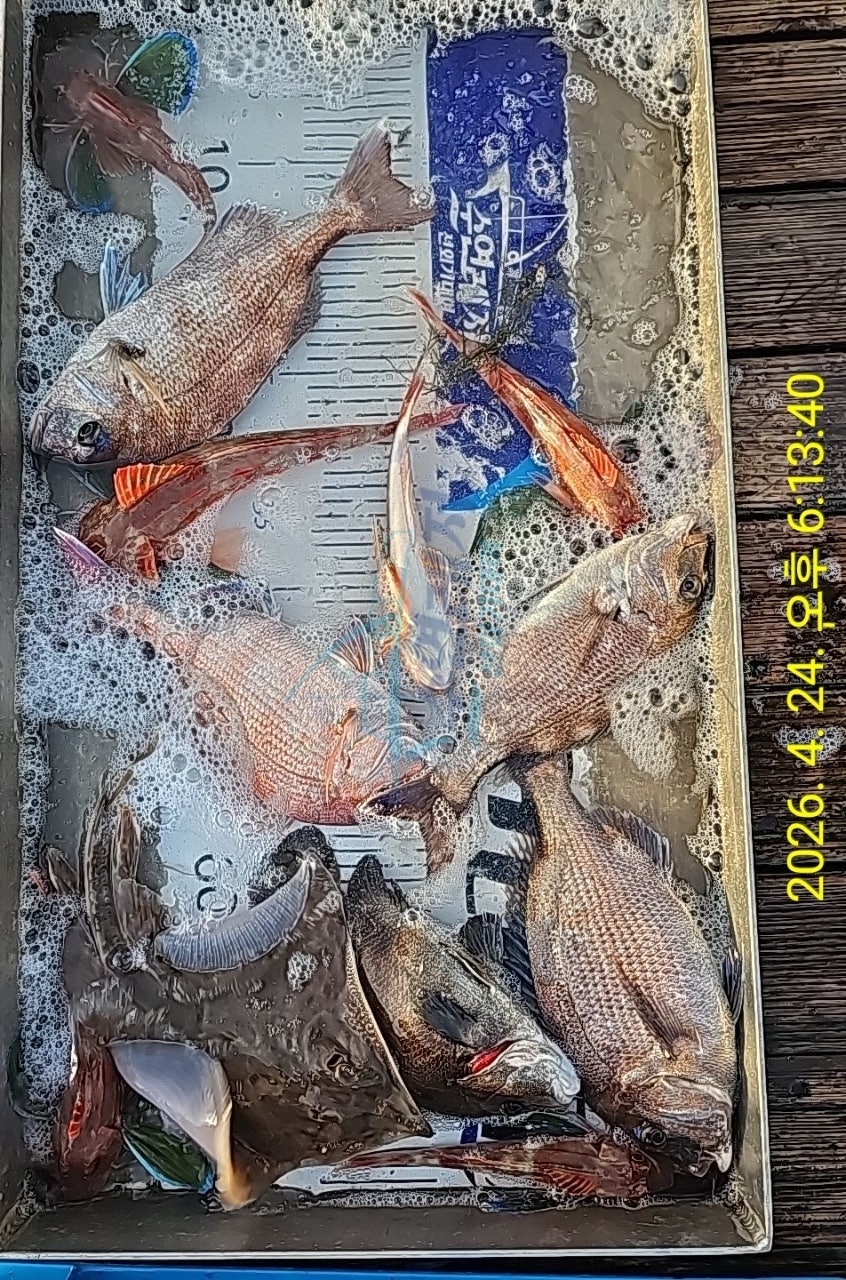 사용자가 올린 이미지