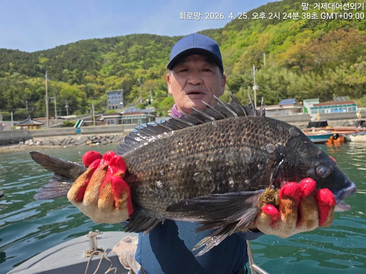 ����ڰ� �ø� �̹���