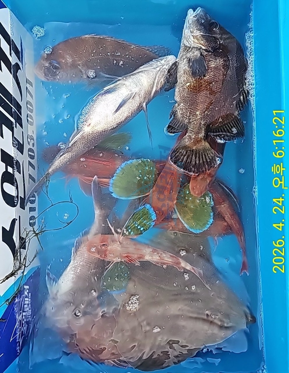 사용자가 올린 이미지