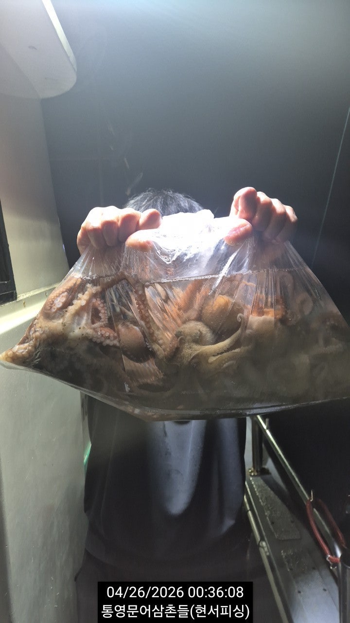 ����ڰ� �ø� �̹���